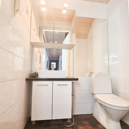 Dom wakacyjny Halla - 8 Henkiloelle, Himosykkoesen Alue, 76m²+36m²